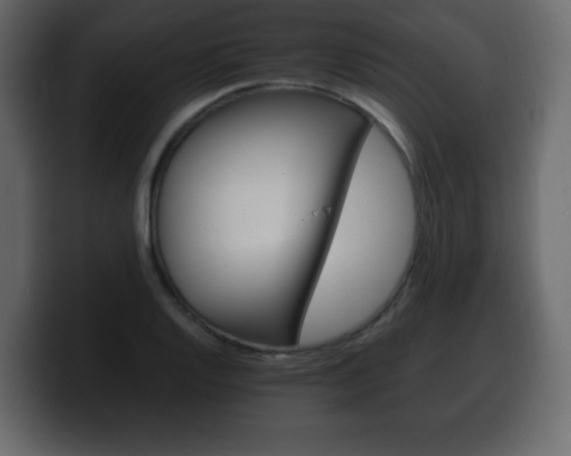 X0000100391128200806060828