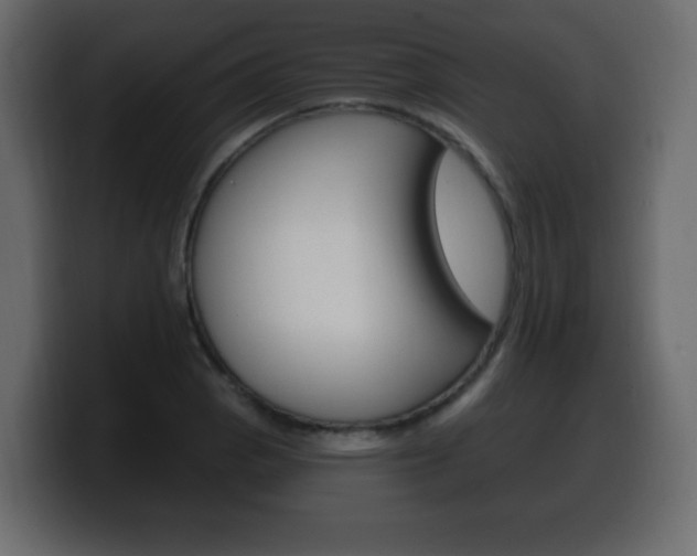 X0000100391129200806060828