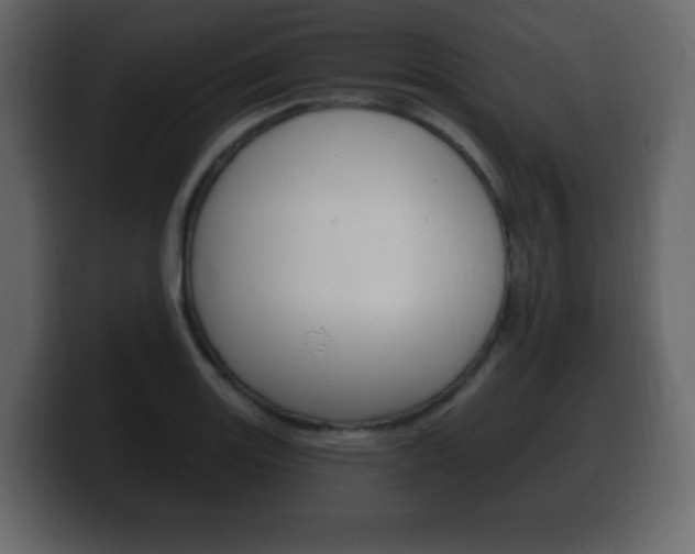 X0000100391131200806060828