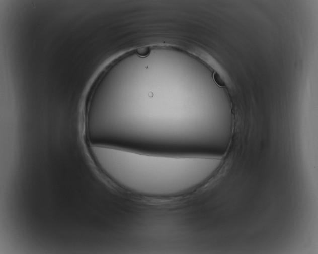 X0000100391132200806060828