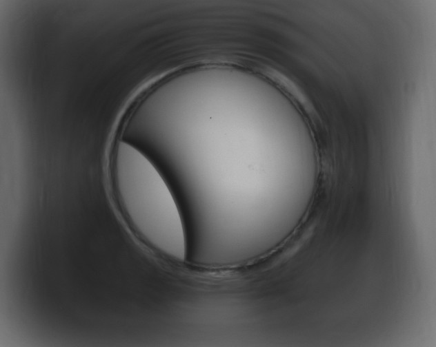 X0000100391133200806060828