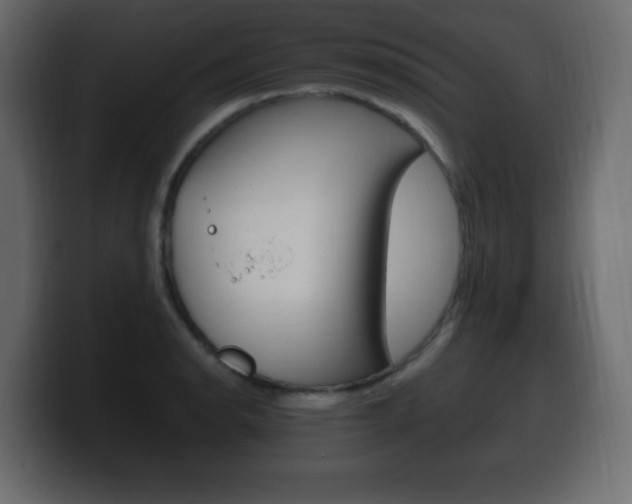X0000100391134200806060828