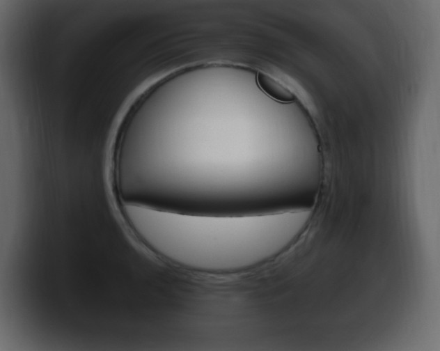 X0000100391136200806060828