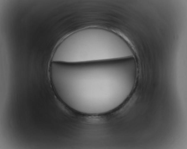 X0000100391137200806060828