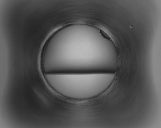 X0000100391139200806060828