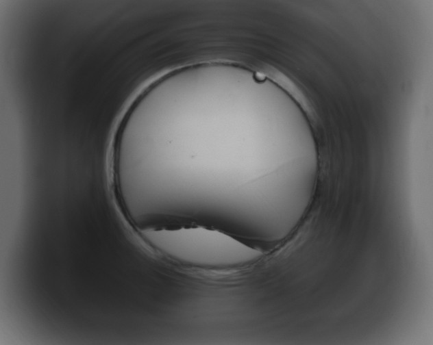 X0000100391140200806060828