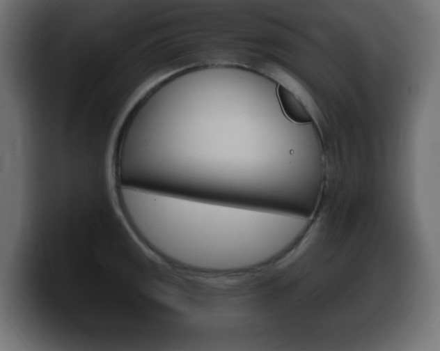 X0000100391141200806060828