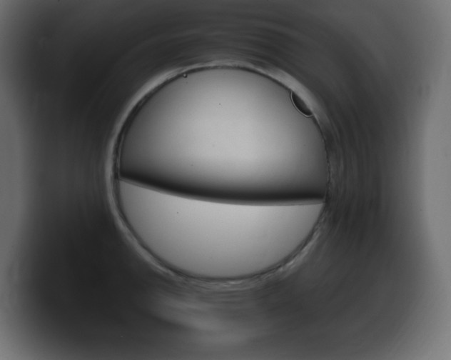 X0000100391142200806060828