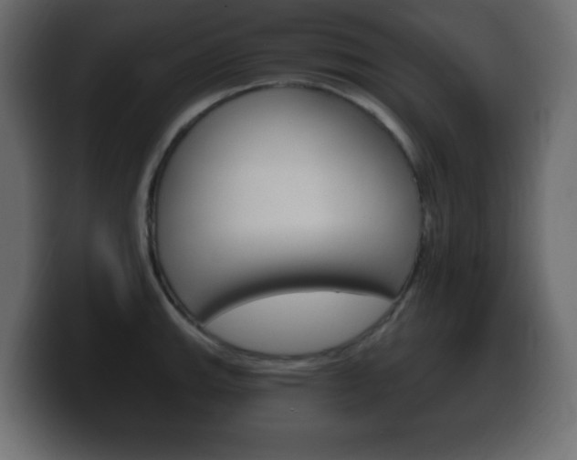 X0000100391143200806060828