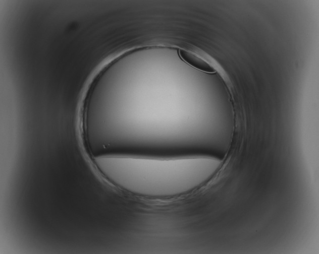 X0000100391144200806060828