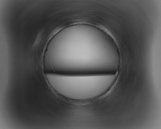 X0000100391145200806060828