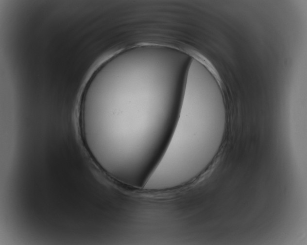 X0000100391146200806060828