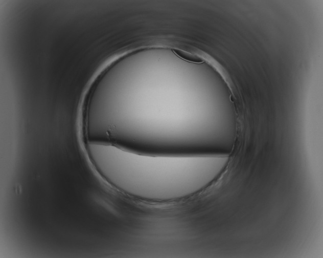 X0000100391147200806060828