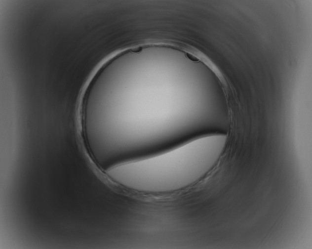 X0000100391148200806060828