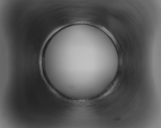 X0000100391149200806060828