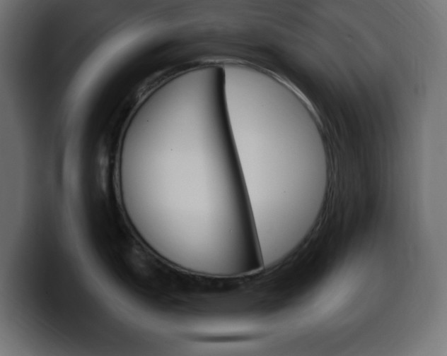 X0000100391151200806060828