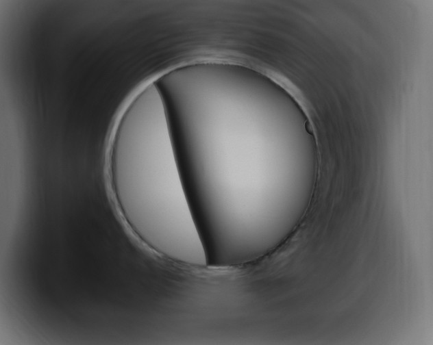 X0000100391152200806060828