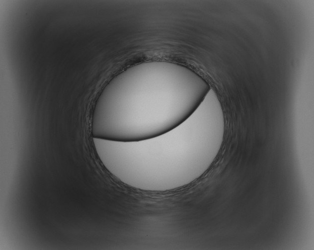 X0000100391153200806060828