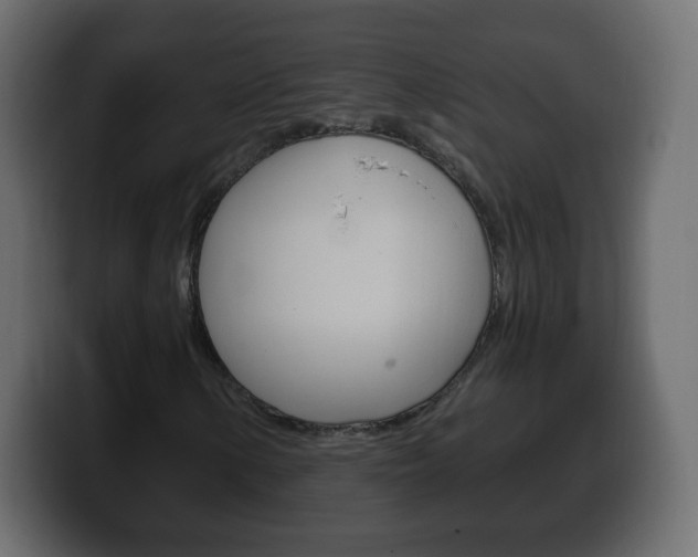 X0000100391154200806060828