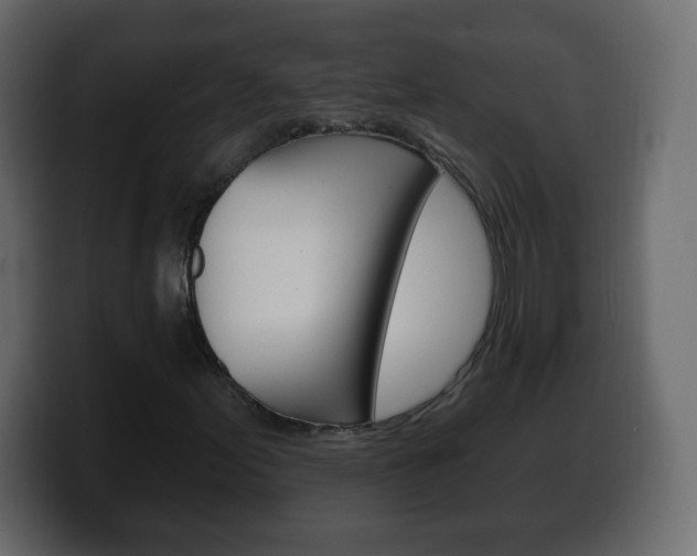 X0000100391155200806060828