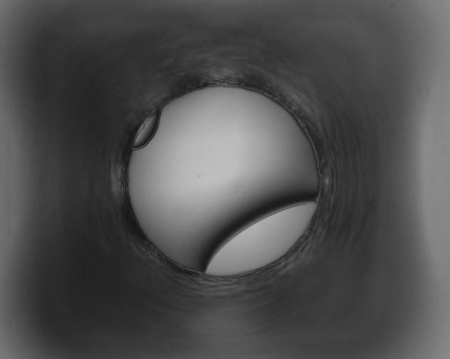 X0000100391156200806060828