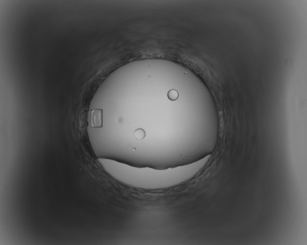 X0000100391157200806060828