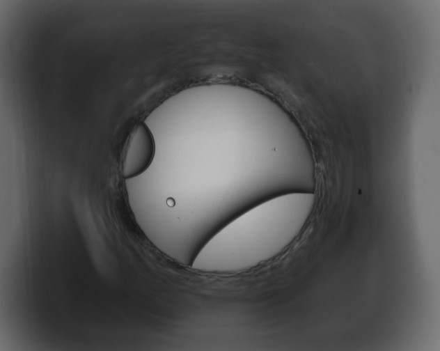 X0000100391158200806060827