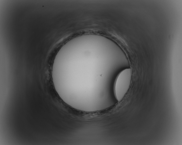 X0000100391159200806060827
