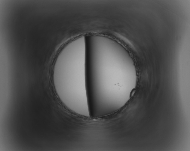 X0000100391160200806060827