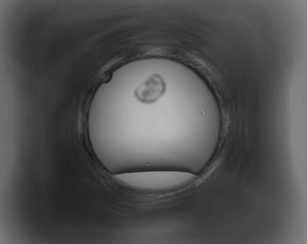X0000100391161200806060827