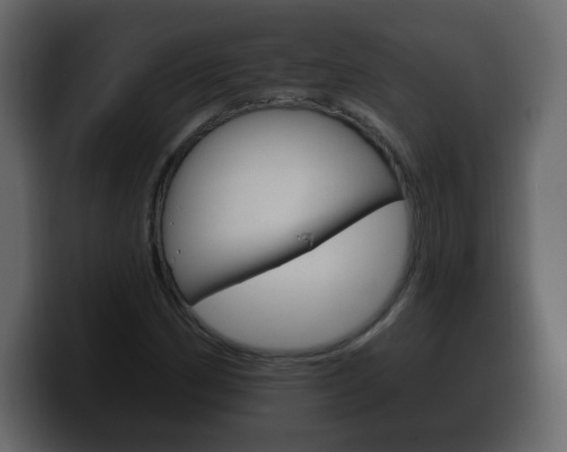 X0000100391162200806060827