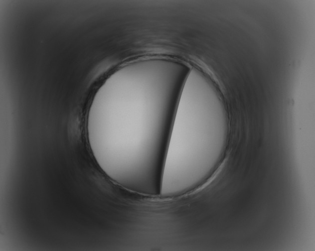 X0000100391163200806060827