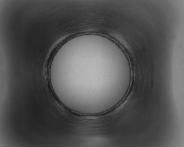 X0000100391164200806060827