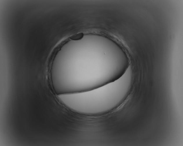 X0000100391165200806060827