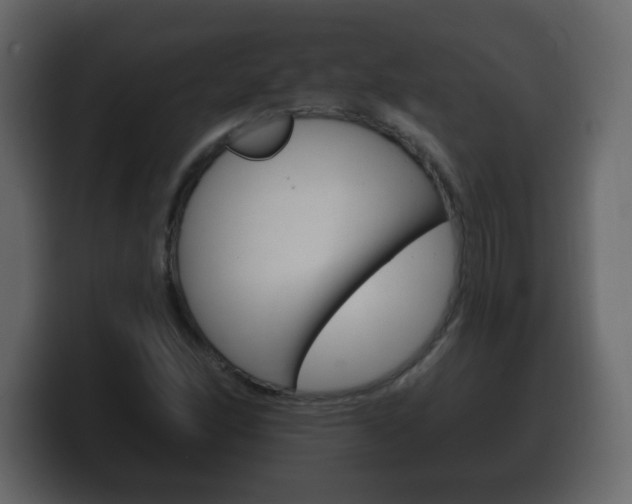 X0000100391166200806060827