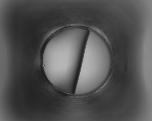 X0000100391167200806060827