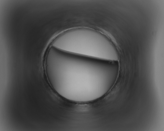 X0000100391168200806060827
