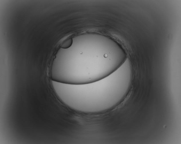 X0000100391169200806060827