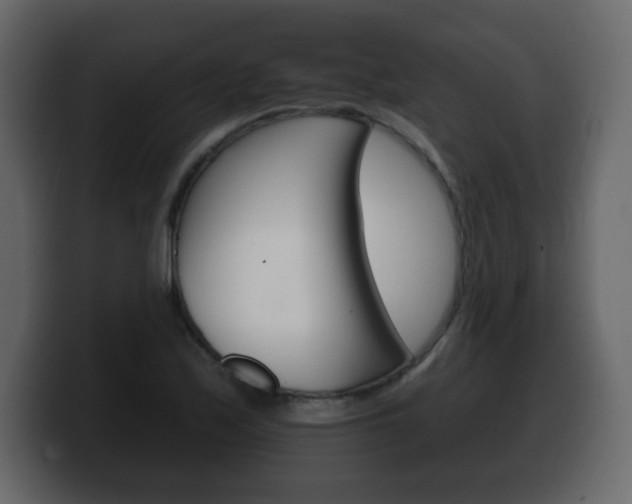 X0000100391171200806060827
