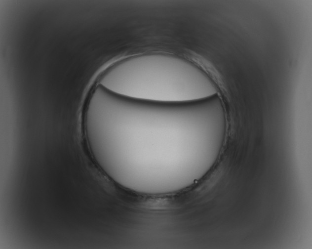 X0000100391174200806060827