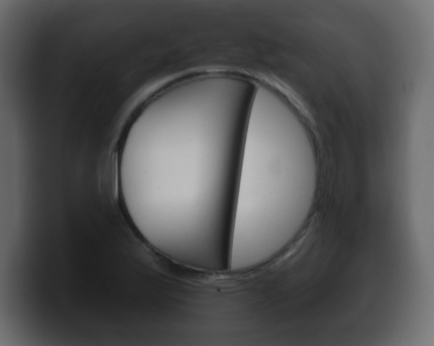 X0000100391175200806060827