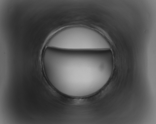 X0000100391176200806060827