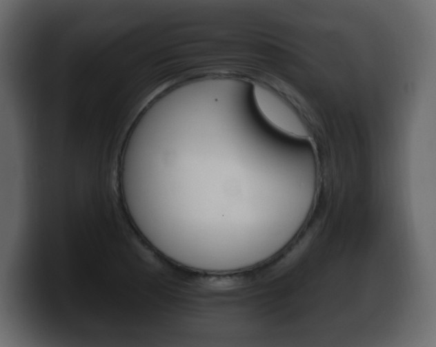 X0000100391177200806060827