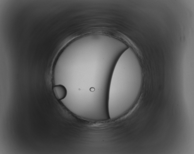 X0000100391178200806060827