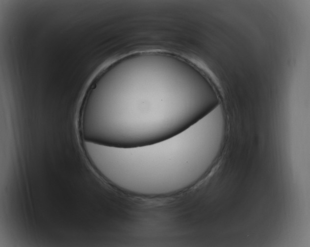 X0000100391181200806060827