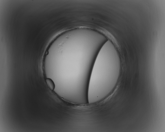 X0000100391182200806060827