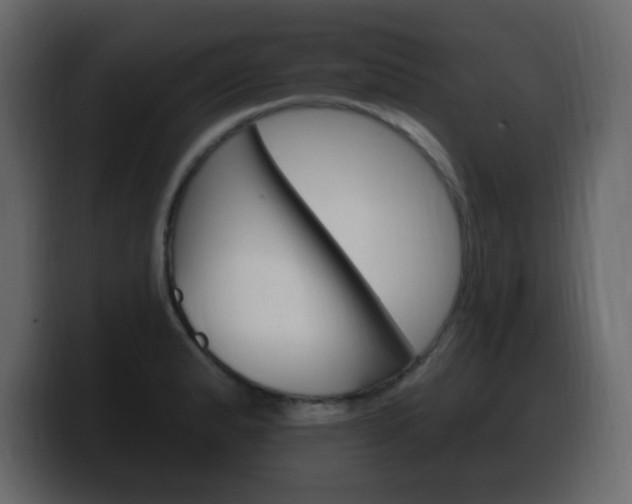 X0000100391183200806060827