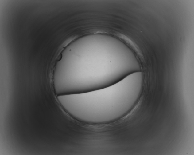 X0000100391185200806060827