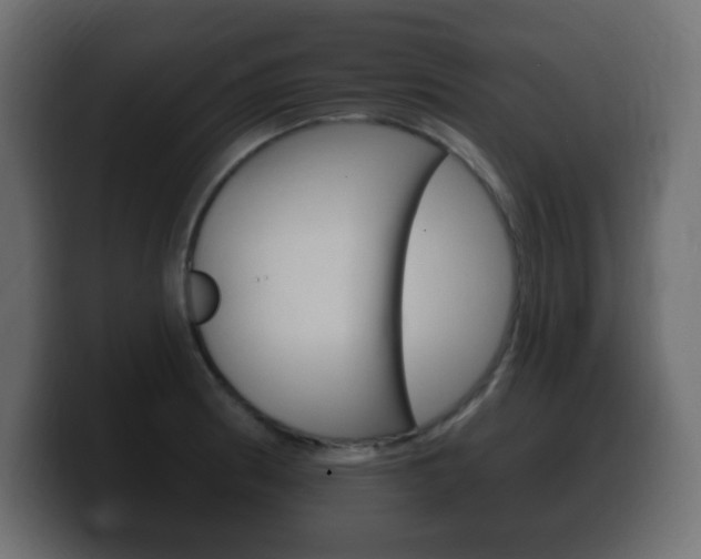 X0000100391186200806060827
