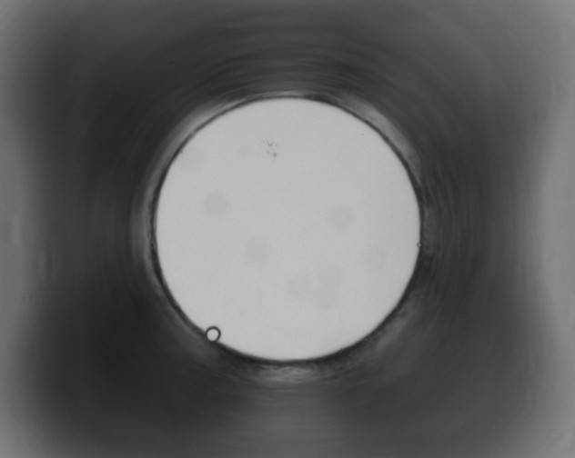 X0000100391187200806060827